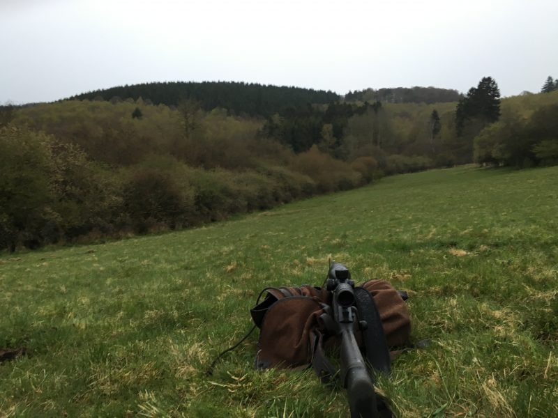 Jagdausblick über eine Wiese mit aufgelegter Büchse