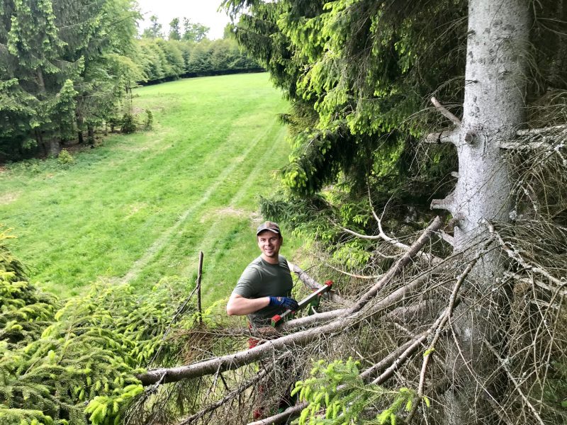 Hegearbeiten im Revier – Pflege des Waldrands